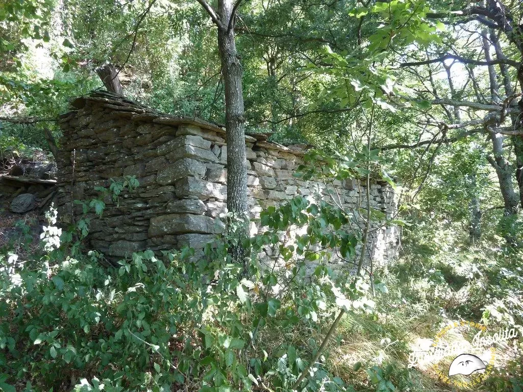 Cascine Groppodalosio