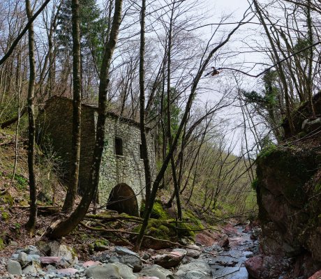 Canale Trauri - Torsana 