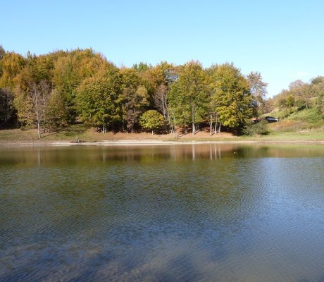 Lago Verde - Cervara